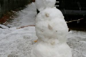 積雪の中、ありがとうございました